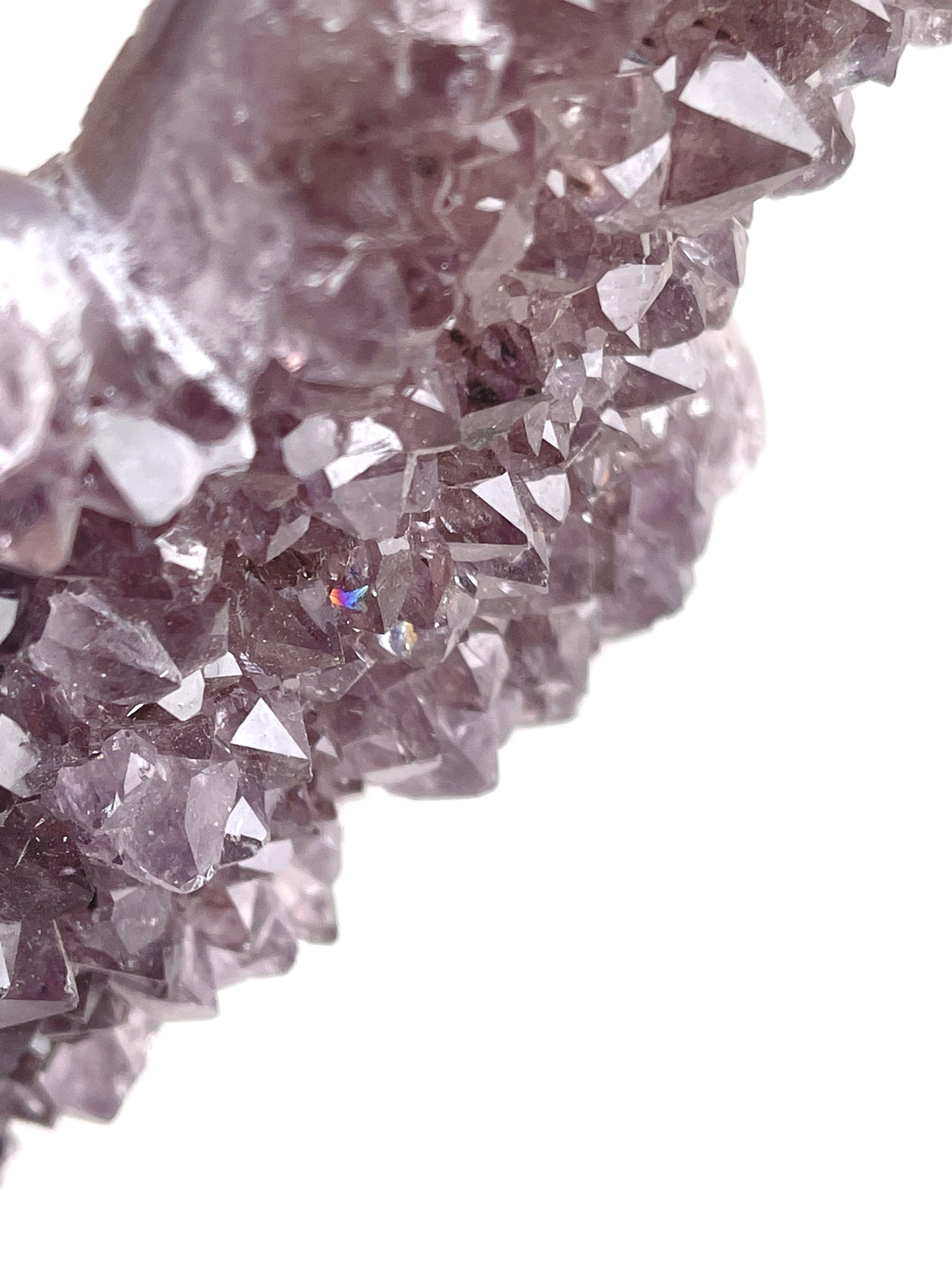Amethyst Butterfly